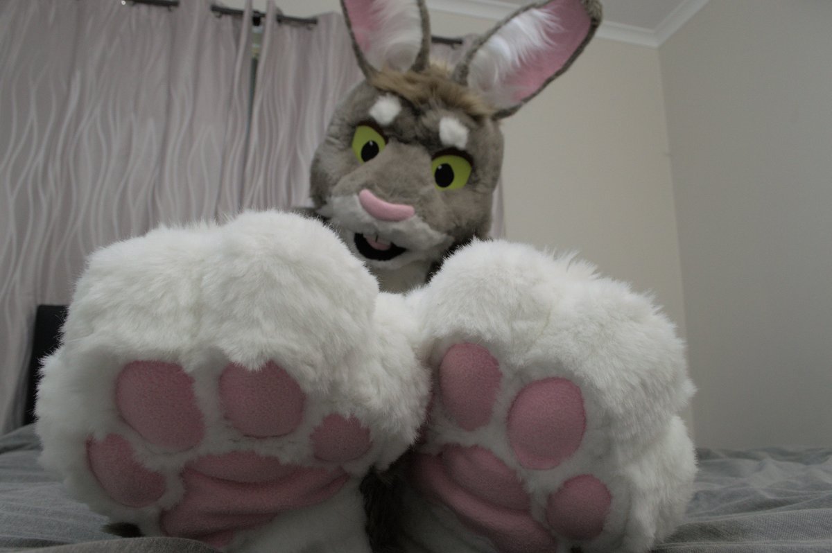 zaika_rabbit's tweet photo. Happy #fursuitfriday :3

(Photos with help from @KalTheDingo) https://t.co/fpxKzwUmEZ