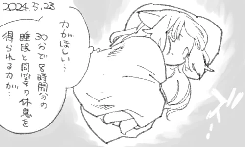 睡眠は好きですが「寝なければならない」となると途端にわずらわしいですね 