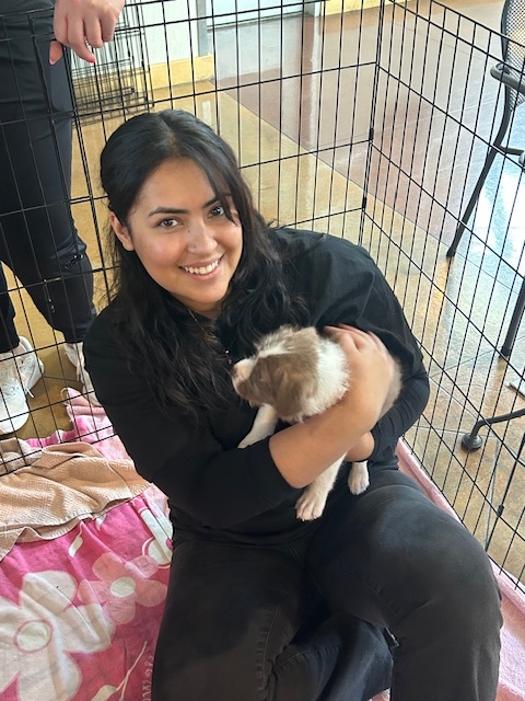 SaresRegisGroup's tweet photo. 17 Bay Area SRG employees spent 3 hours volunteering at Humane Society Silicon Valley.

@humanesocietysv #SRGCares #srgresidential #saresregisgroup #volunteering #bayarea #siliconvalley #humanesociety #SoarWithSRG https://t.co/6L7EatHGh2