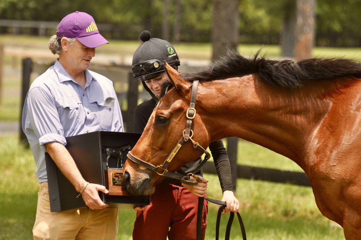 Long Leaf Stable tweet media