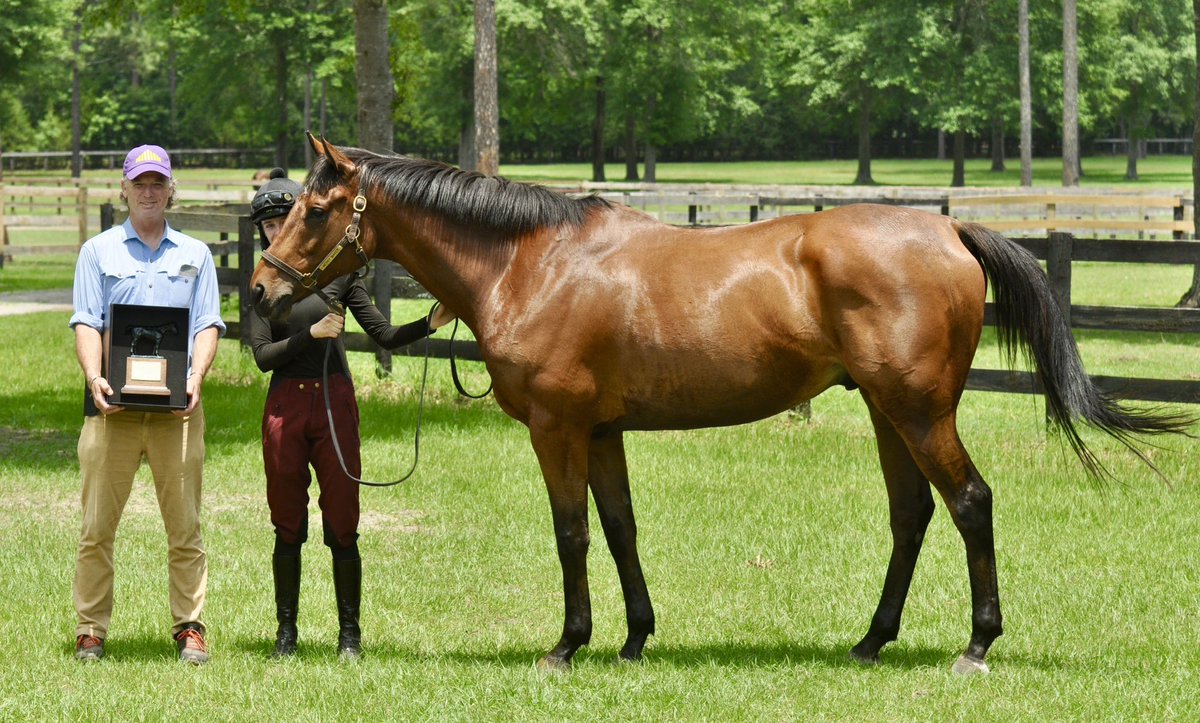 Long Leaf Stable tweet media