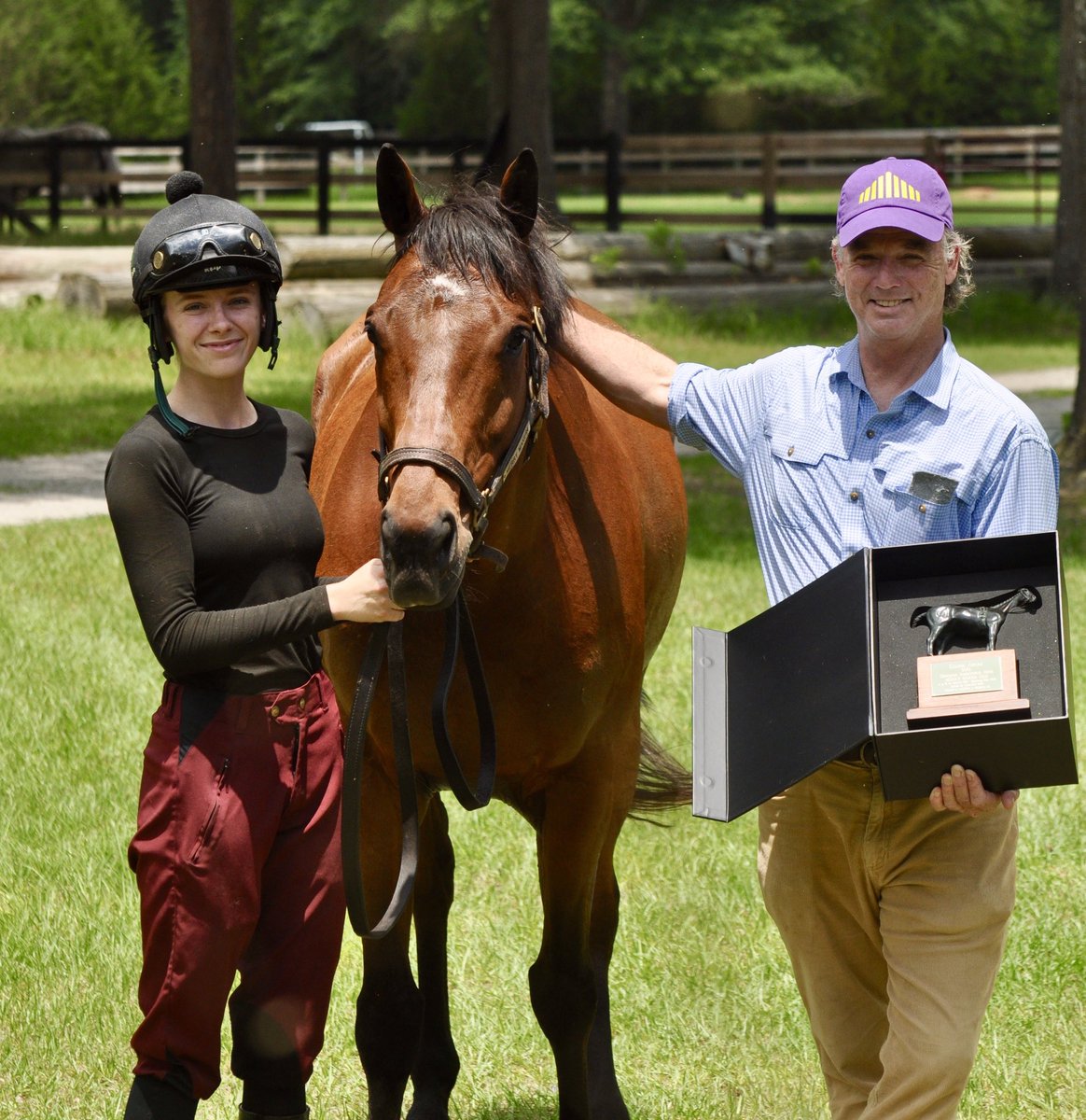 Long Leaf Stable tweet media