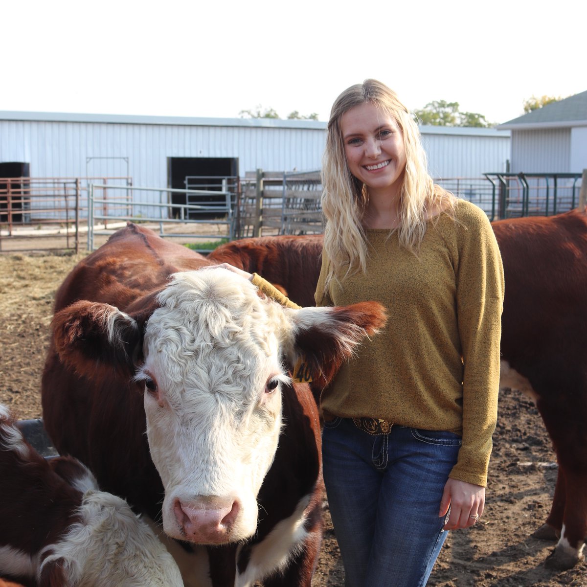 Congrats to @agbiousask MSc student Catherine Seidle who is the 2024 Animal Nutrition Association of Canada Graduate Scholarship winner! Catherine's research: 'Impact of Adding Water to a Barley-Based Finishing Feedlot Diets on Cattle Feeding Behaviour and Ruminal Fermentation'