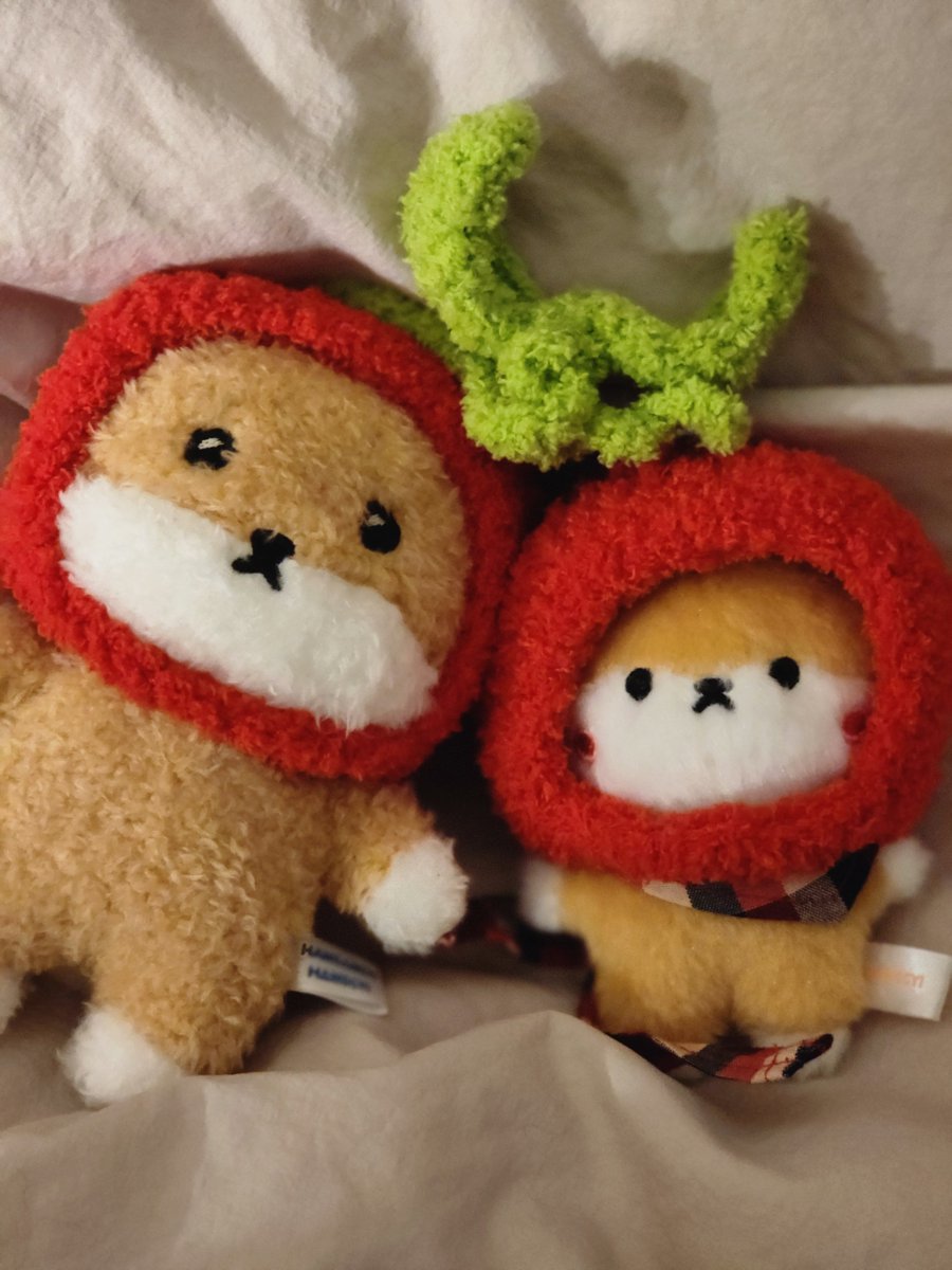 어젯밤에 먹은 야식 
체리들🍒🍒🍒🍒 
와아아아아아앙