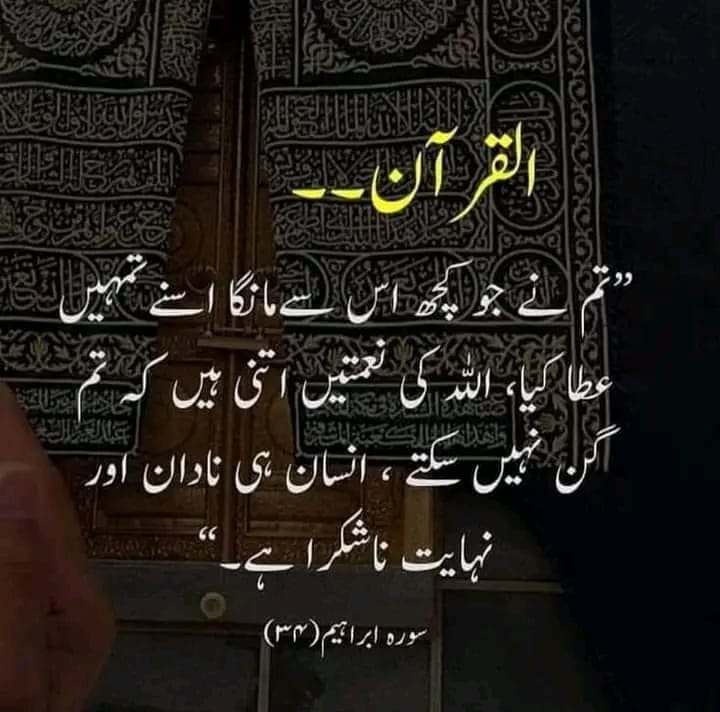 mishii tweet media
