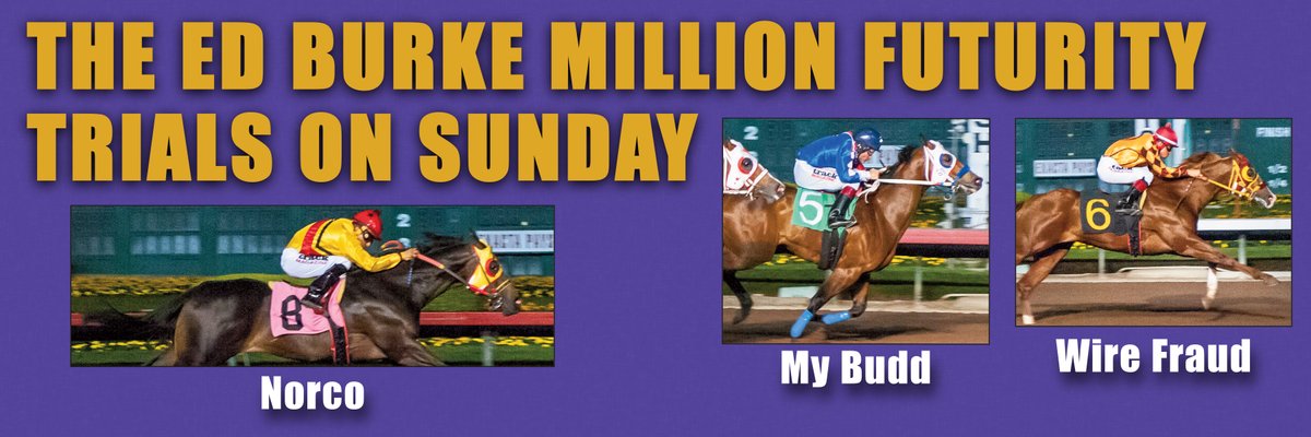 The Ed Burke Million Futurity trials will be held on Sunday. 12 trials on tap with three Pick 4 wagers offered. The Pick 6 will feature races 7-12. Kindergarten runner-up My Budd is among the 98 juveniles racing. Here are the entries losalamitos.com/Admin/pdfs/Wag…