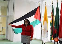 Why is it OK for a United States Congresswoman to proudly display the flag of a neo-Nazi, antisemitic, terroristic pseudo-nation, while it is not OK for the wife of a United States Supreme Court Justice to fly a flag that is a traditional, 250 year old symbol of American