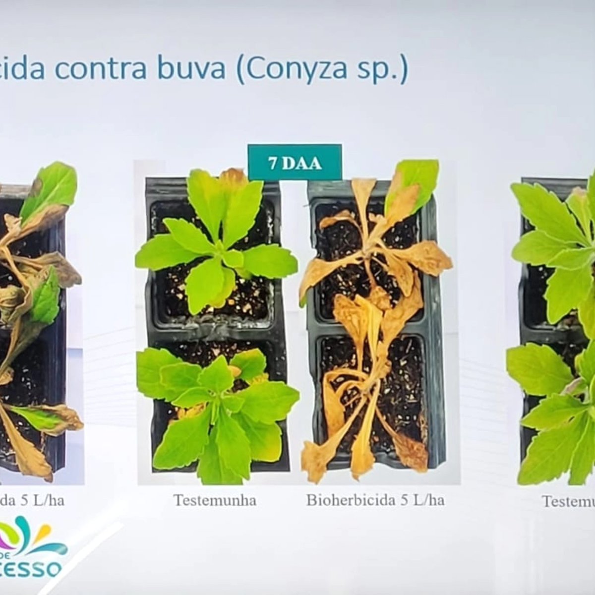 AgroTester I&D tweet media