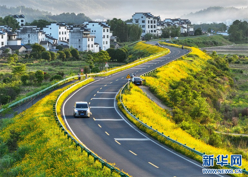 Take a ride around Xiuning County, east China's Anhui Province, where blooming flowers add to the charm of the country road with a riot of yellow and golden hues. #BeautifulChina