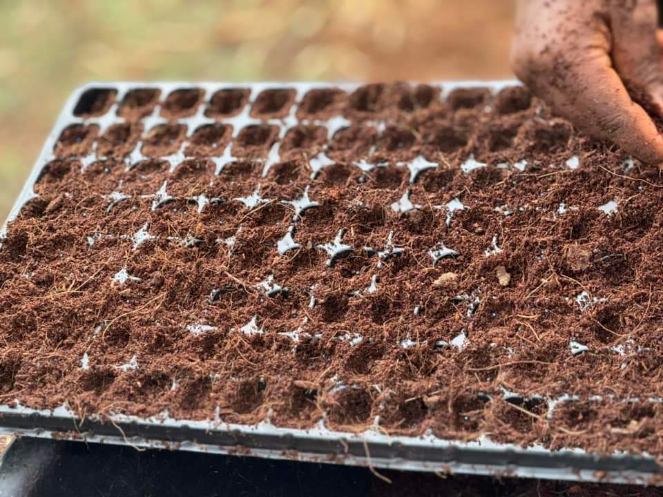 Healthy Living with Nonye Soludo tweet media