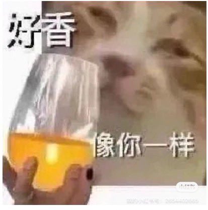 BAIGEHE's tweet photo. 咪师傅开通了海外炒饭业务（不是 https://t.co/3cFVoFUszG