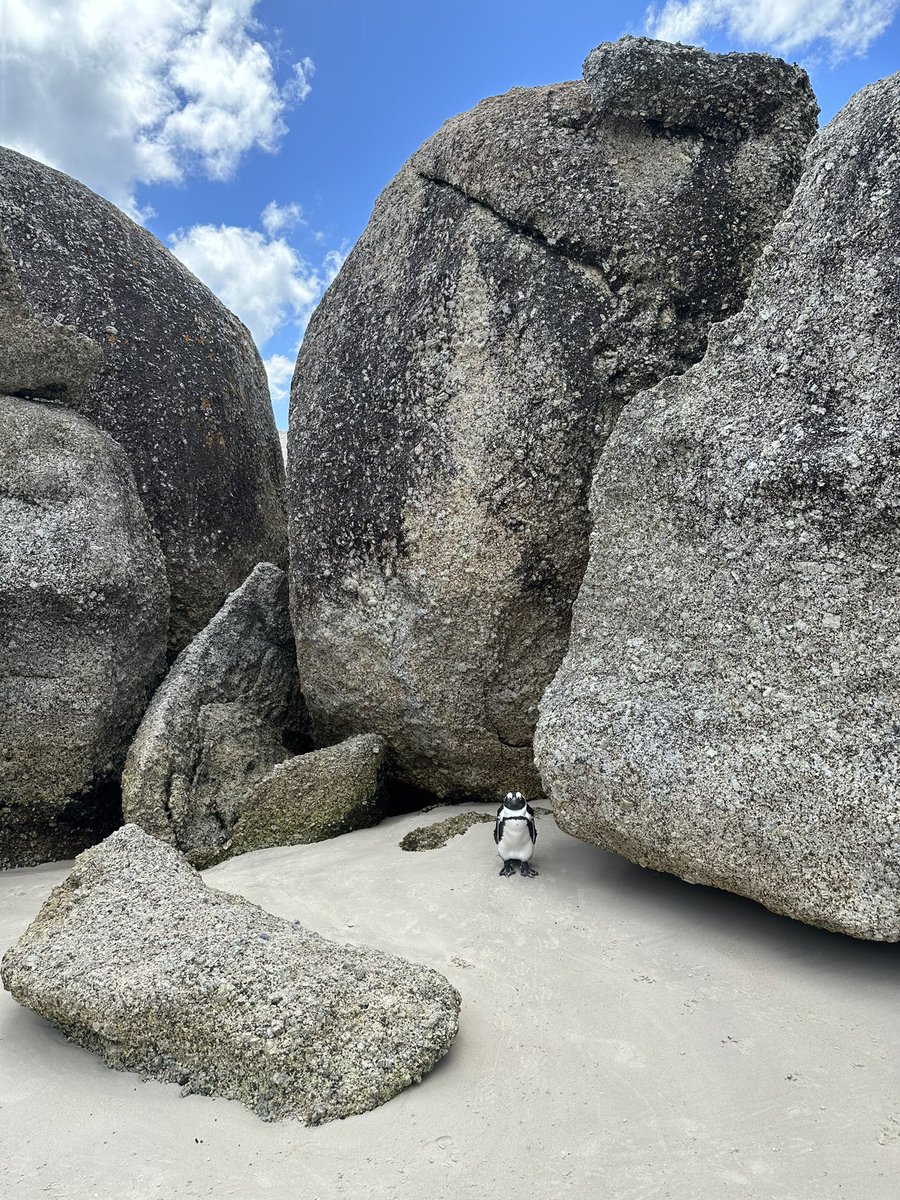 ペンギンデザイン🐧 | webデザイナー tweet media