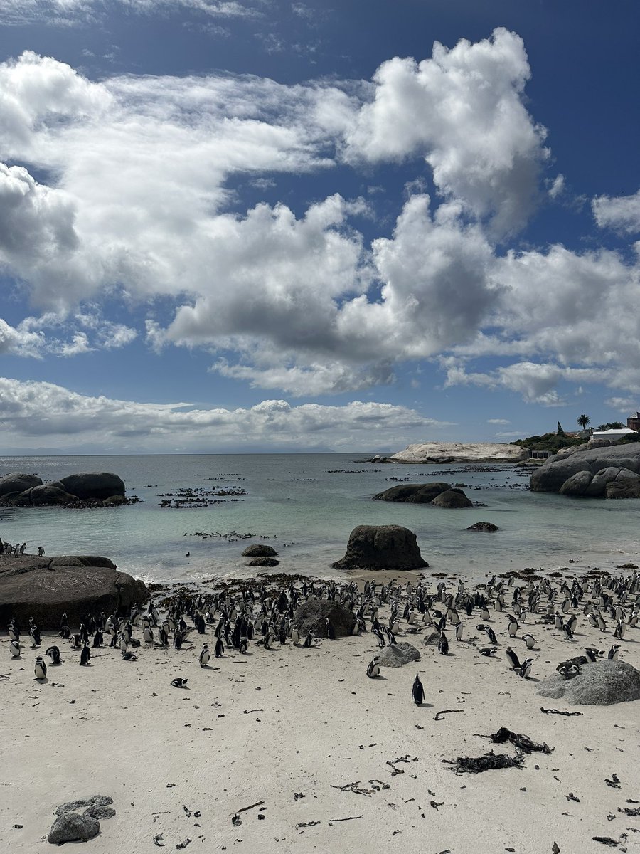 ペンギンデザイン🐧 | webデザイナー tweet media