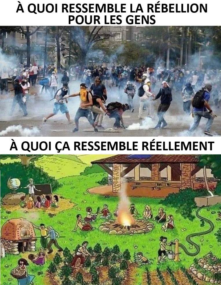 Créez des liens, fraternisez, entraidez-vous et soyez autosuffisant. Privilégiez la famille, cultivez les amitiés et vivez dans l'harmonie et l'amour. 🥰😎🫶 #rébellion