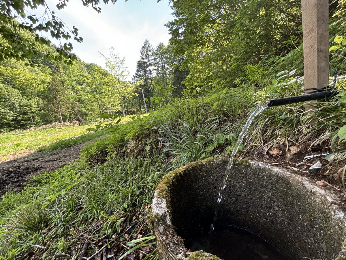 集落跡を示す標柱だけが残る土地に、今も冷たい山水が引かれていた。クサツネと水を分け合う。蝉しぐれの中、しばしここで時を過ごした。