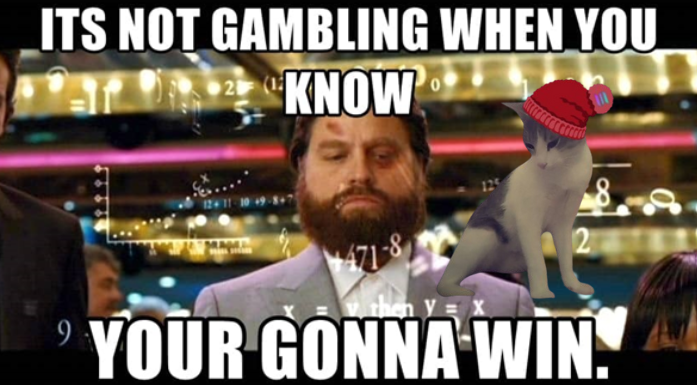 KitionSolana's tweet photo. Is $kiti the alpha play of the week? #kiti $kiti https://t.co/KQfcUgsZY5