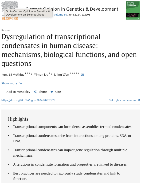 Liling Wan (@lilingwanlab) on Twitter photo Interested in transcriptional condensates and their dysregulation in diseases? Check out our mini-review on recent advances in mechanisms, biological functions, and open questions in this area, led by <a href="/kaeli_mathias/">kaeli mathias</a> and Yiman Liu. free access authors.elsevier.com/a/1j8Sx,LqAZbc… Interested in transcriptional condensates and their dysregulation in diseases? Check out our mini-review on recent advances in mechanisms, biological functions, and open questions in this area, led by <a href="/kaeli_mathias/">kaeli mathias</a> and Yiman Liu. free access authors.elsevier.com/a/1j8Sx,LqAZbc…