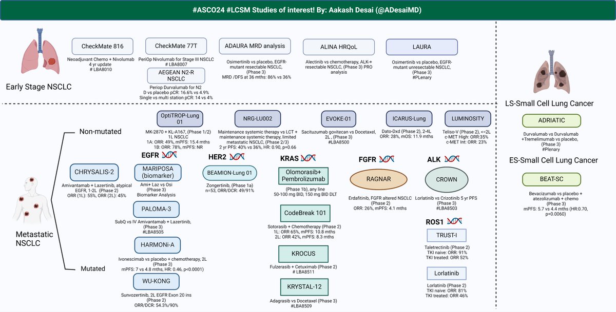 Honored to be <a href="/ASCO/">ASCO</a> #FeaturedVoice! <a href="/ONealCancerUAB/">UAB O'Neal Comprehensive Cancer Center</a>  
Will discuss data on #lcsm, and #phase1 along these fantasitic folks!  <a href="/fumikochino/">Fumiko Ladd Chino, MD, FASCO</a> <a href="/jillfeldman4/">Jill Feldman</a> @jacobadashek <a href="/AnaVManana/">Ana I. Velázquez Mañana, MD, MSc, FASCO</a> <a href="/ramsedhom/">Ramy Sedhom, MD, FASCO</a> <a href="/thenasheffect/">Rafeh Naqash, MD</a> <a href="/DevikaDasMD/">Devika Das, MD, MSHQS, FASCO</a> <a href="/OncBrothers/">Oncology Brothers</a>
<a href="/TwoOncDocs/">TwoOncDocs</a> <a href="/herbloong/">Herbert Loong, MBBS, FASCO</a>
👇 #lcsm abstracts!