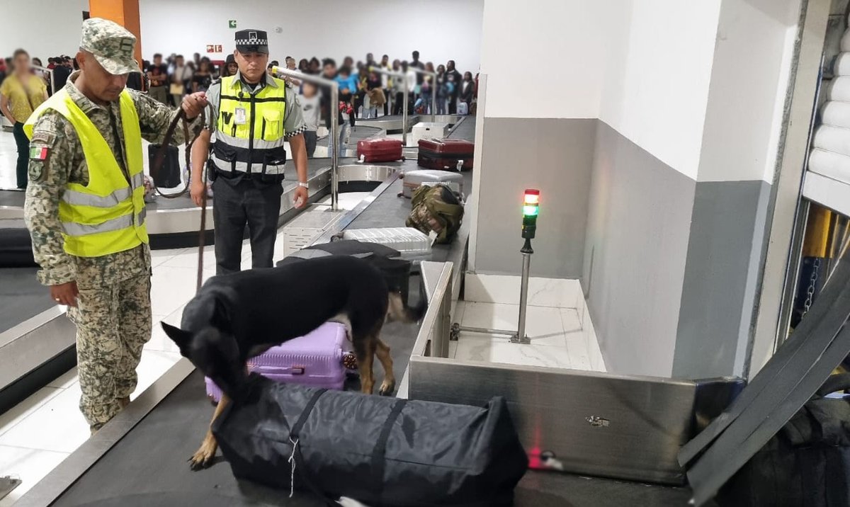 En conjunto con autoridades federales, realizamos recorridos preventivos para brindar seguridad en los distintos aeropuertos del país.