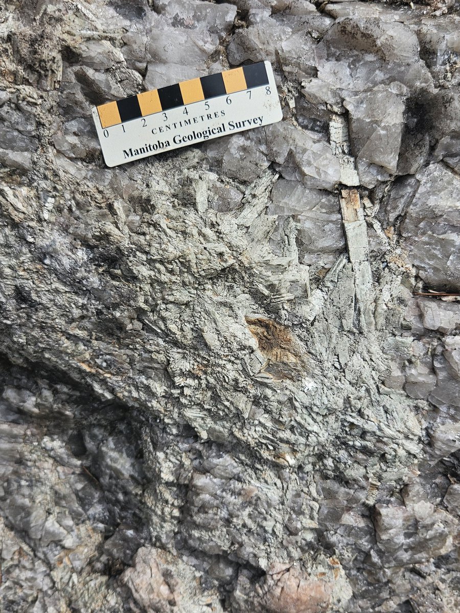 Dr Kathryn Goodenough tweet media