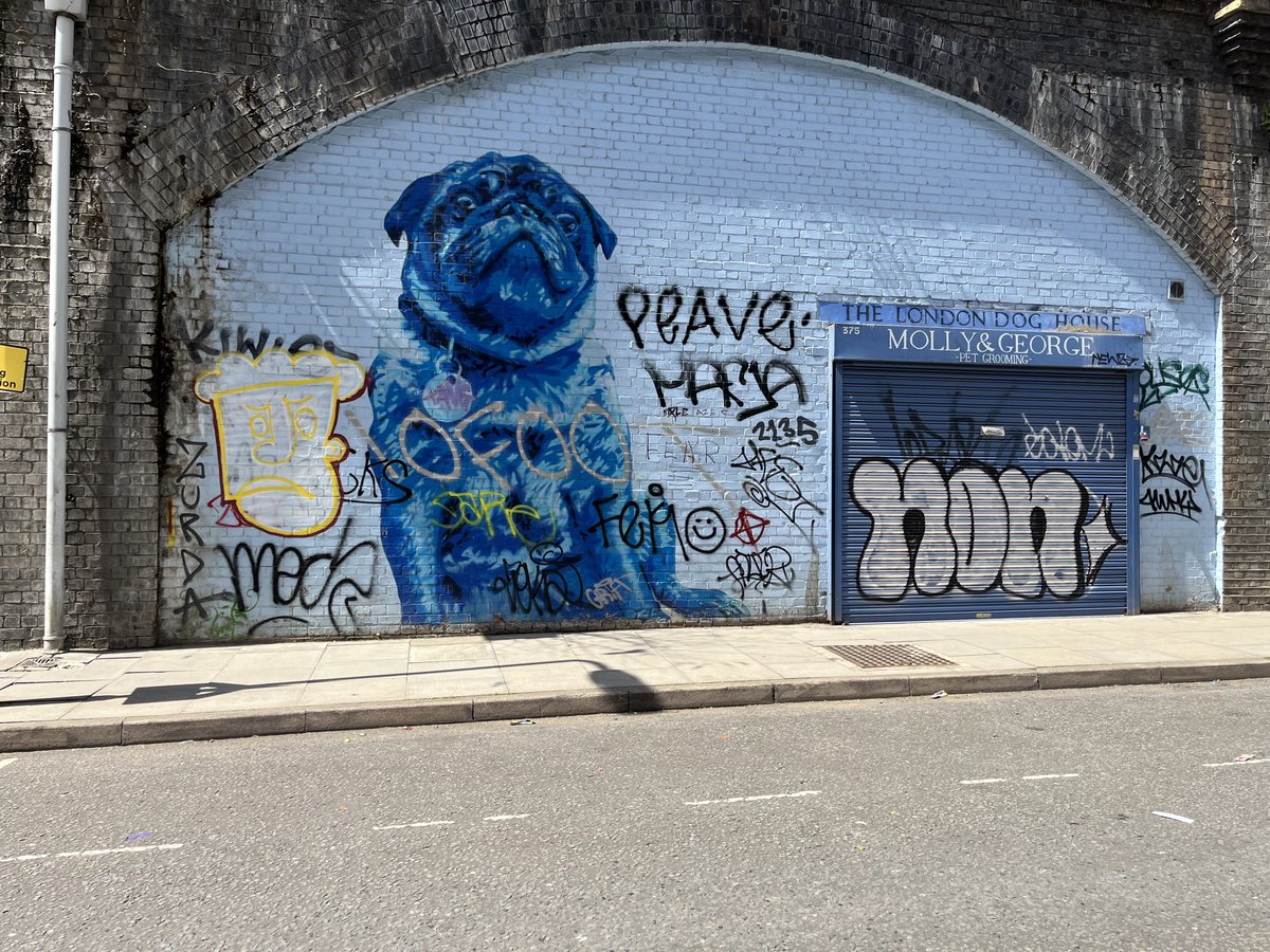 Mentmore Terrace, London E8
Pug mural and graffiti on railway arches and rolling shutters
Material reference