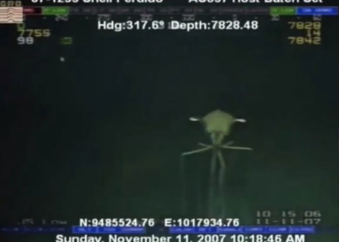 𝖪𝖾𝗇𝗂𝖺 𝗅𝗈 𝗁𝖺𝖼𝖾 𝗍𝗈𝖽𝗈 𝗆𝖺𝗅 tweet media