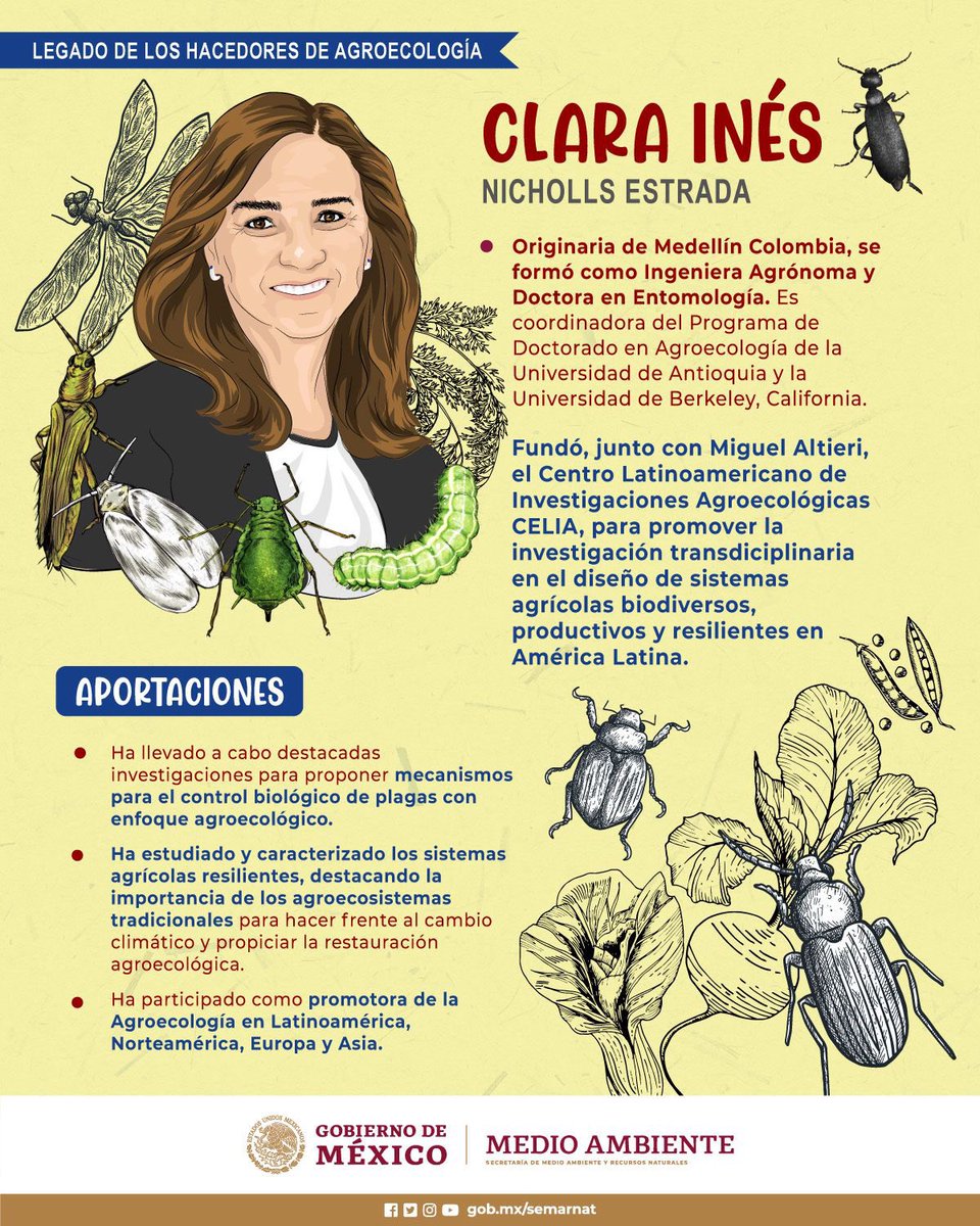 SEMARNAT_mx's tweet image. ✨ Te presentamos el legado de otra de las grandes maestras hacedoras de la #Agroecología, Clara Inés Nicholls.

Ha participado como promotora de la Agroecología en Latinoamérica, Norteamérica, Europa y Asia. 🍃🦗🐛🪲

¡Comparte para que más personas conozcan sus aportes! 👇🏽