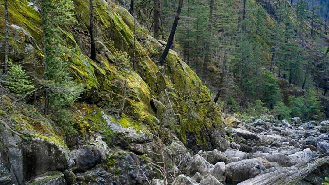 The Skagit River just beneath the Gorge Powerhouse. Upstream, we observed remnants of the destructive fires from 23'.