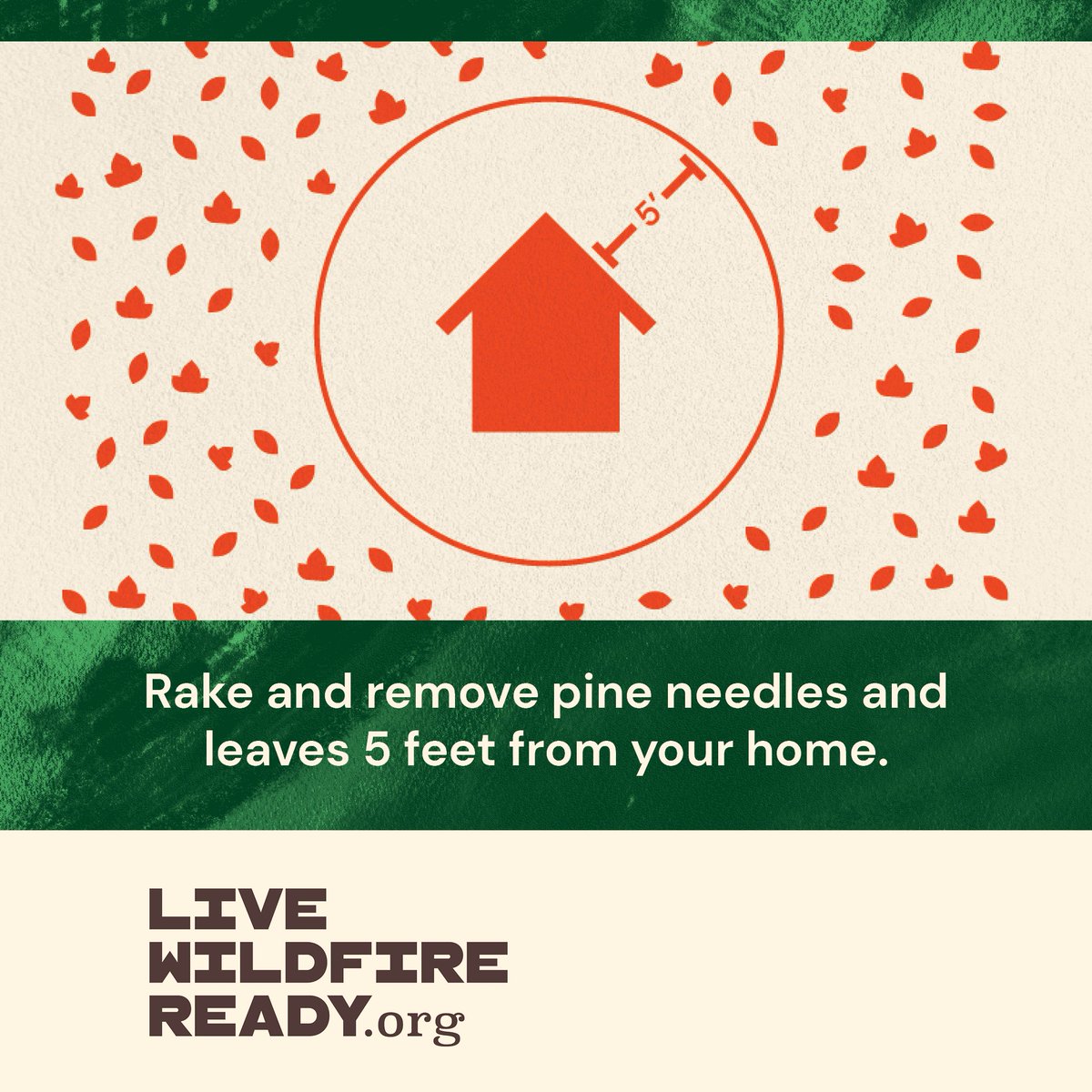 Rake and remove pine needles and leaves 5 feet from your home. 

Visit LiveWildireReady.org. 

#LiveWildfireReady | #RMRI