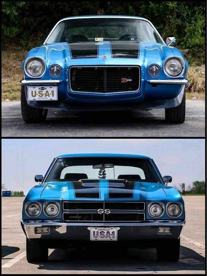 Top or bottom?