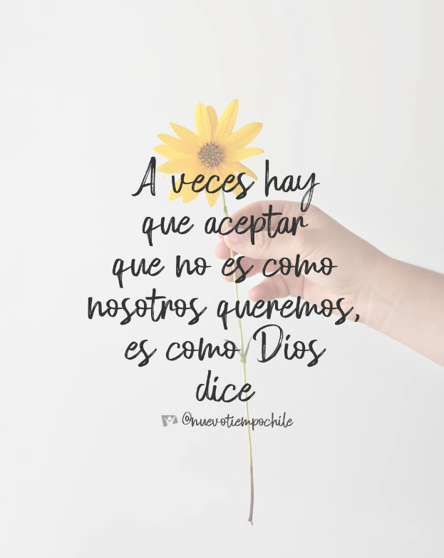 ntchile's tweet photo. 🌟 "Y el mundo pasa y sus deseos; 💓 pero el que hace la #voluntad de #Dios permanece para siempre" ✨1 de Juan 2:17 📖

👆Recuerda que la voluntad de Dios es buena, agradable y perfecta.
💪💖 ¡Confía en que lo que Él quiere para ti, es lo mejor! 🌟 https://t.co/G8Qy7EHnHH