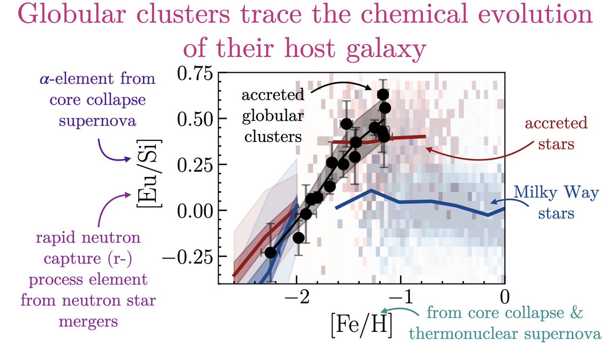 🚨 GAME CHANGER PAPER ON ARXIV 🚨
The wonderful Steph Monty has discovered that globular clusters trace the chemical evolution of their host galaxy 🌌 Looking at the accreted stars in the Milky Way, the accreted globular follow the same track 🤯 ( a 🧵) arxiv.org/abs/2405.08963