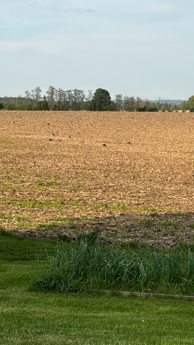 Jason Lennox tweet media