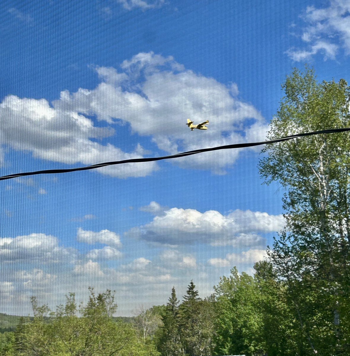 A reminder of how fragile things are. 6 hectare fire started in the brush not very far behind our property. Water bomber planes in, firefighters from multiple areas. Doesn’t help that the wind is gusting over 50 kph. Eerie that it’s also the 47th anniversary of the Cobalt fire.