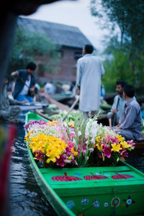 ravinetrek's tweet photo. Srinagar https://t.co/kwIttG8gNy