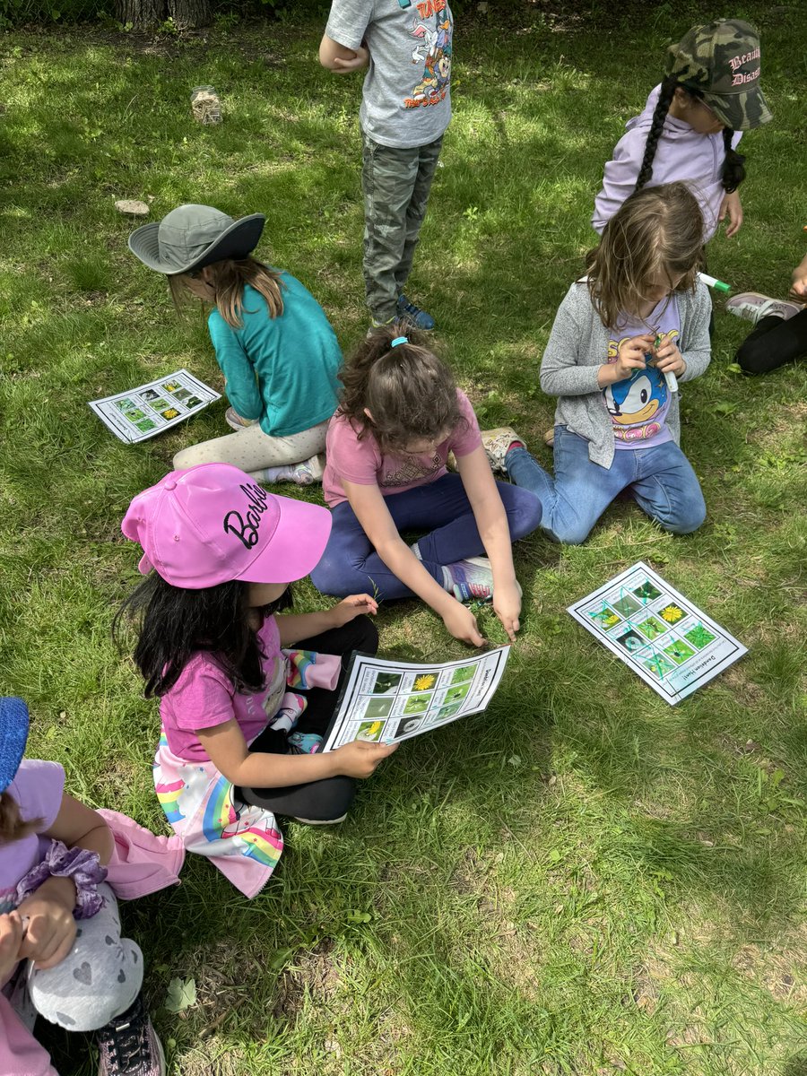 Our Forest Friends experience was inspired by this beautiful book that celebrates the resilience of the dandelion. After, we did a ‘Dandelion Hunt’ to search for each stage of the dandelion life cycle in our school yard @StMonicaOCSB. #ocsbIndigenous @ocsbEco #ocsbOutdoors