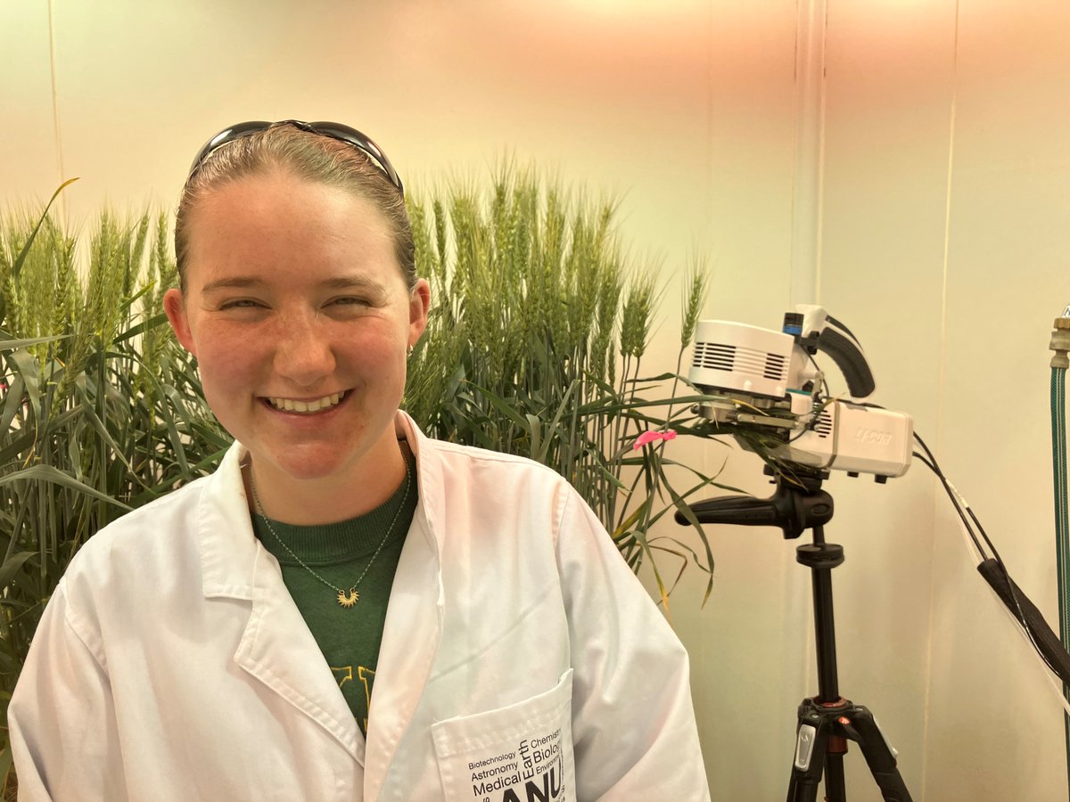 🌾How will wheat perform in future environments? Great to catch up with Amy from Prof Dani Way's lab on their work to understand the physiological basis for yield & quality changes at elevated temperature & CO2 @PlantSci_ANU