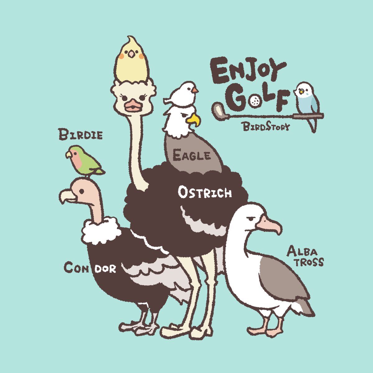 BIRDSTORY tweet media