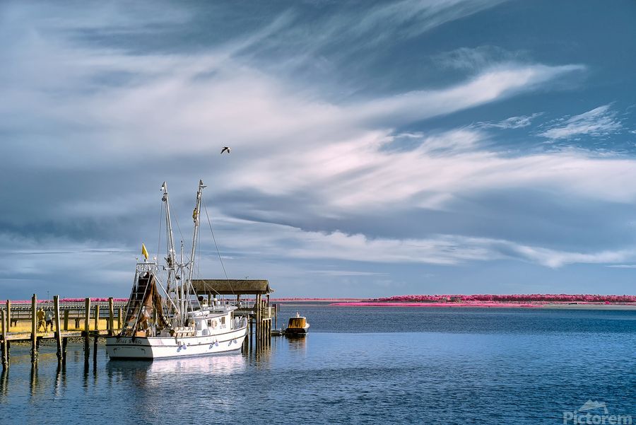 Photo from Shemp Creek in Charleston .#Buyintoart #homedecor #homedecorating #interiordecor #interiordecorating #wallart #photography #art #aYearforArt #artprints #artforsale Click link for info and pricing buff.ly/44zHdkW