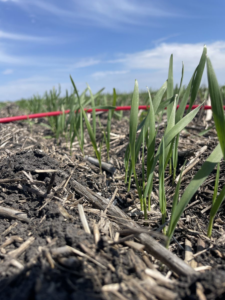 Todays highlight reel ☀️🌱
#agronomy #agmorethanever #spring2024