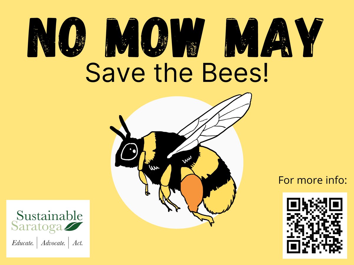 Have you heard about No Mow May? It's not too late to join in the effort to save the bees and other important pollinators! sustainablesaratoga.org/join-us-in-sup… #nomowmay #nativeplants #protectpollinators