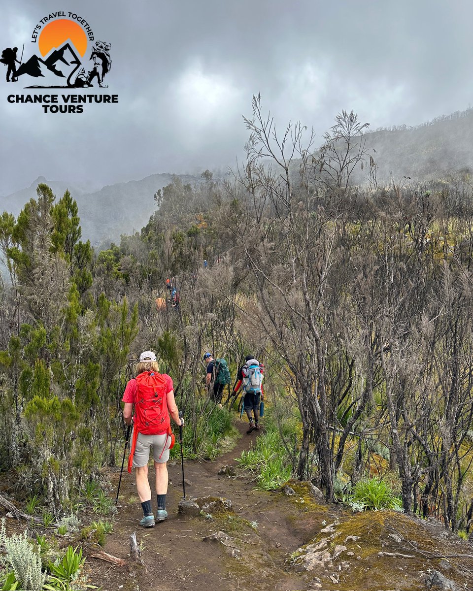 CHANCEVENTURETOURS (@goodchance93966) on Twitter photo 