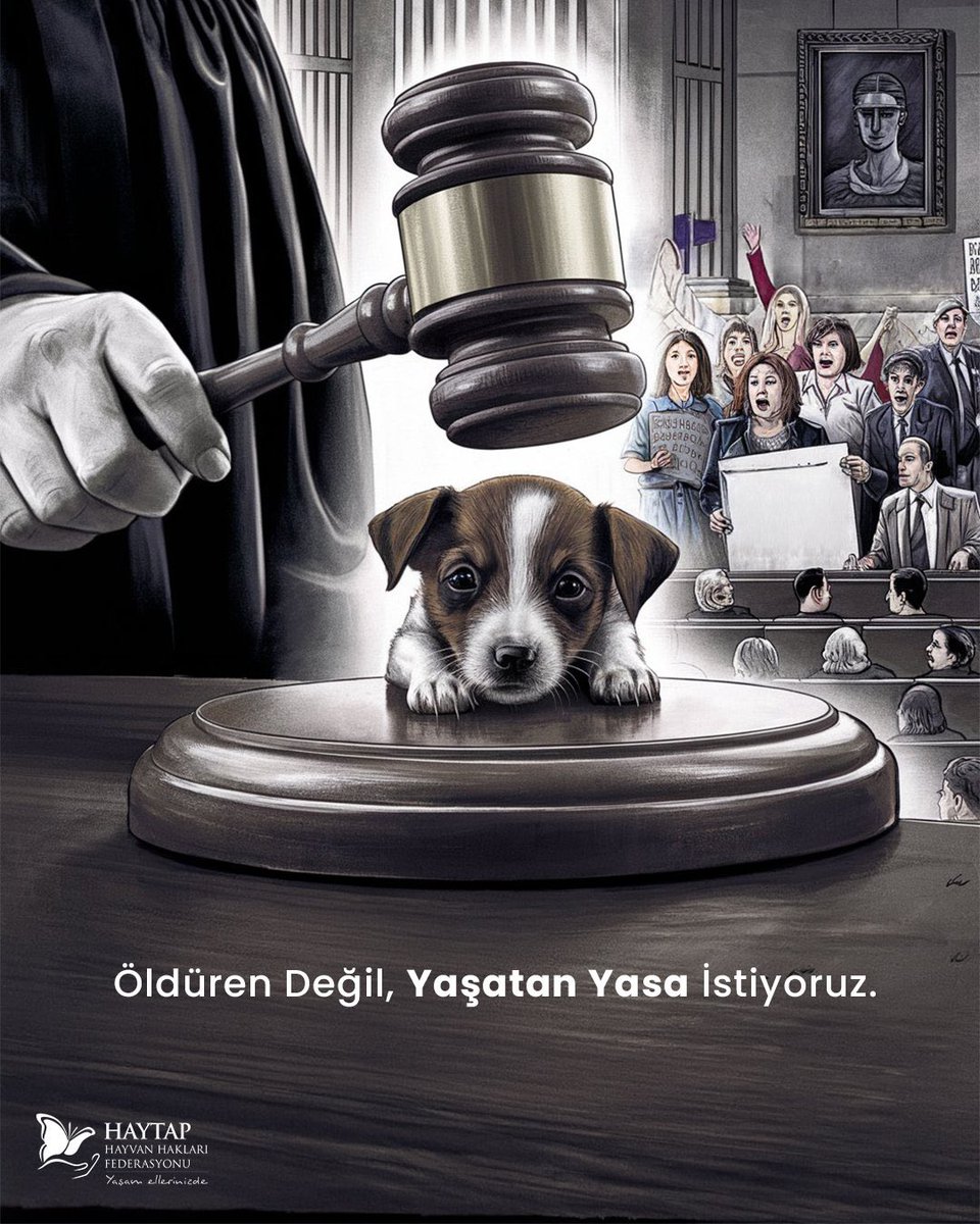 GurbuzBusra's tweet photo. #sokakhayvanlarisahipsizdeğil https://t.co/wYH0w4Cdqy