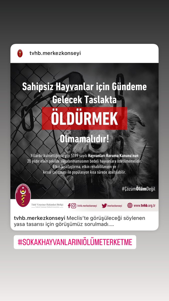 GurbuzBusra's tweet photo. #sokakhayvanlarisahipsizdeğil
#sokakhayvanları https://t.co/obys7iAXPK