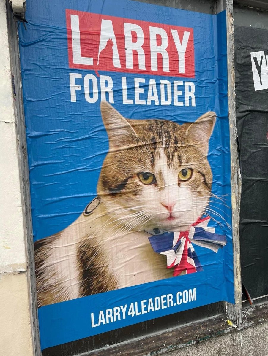 I'm not one to get political on here, but... @Number10cat would definitely get my vote 😺

#larrythecat #generalelection