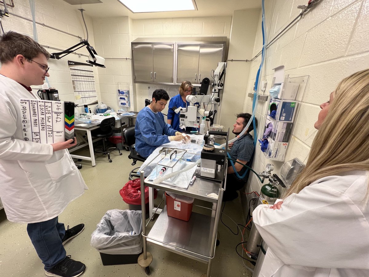 Andrea Obi MD (@andreaobimd) on Twitter photo 👀 exciting going ons in Obi Lab / Jobst Lab. <a href="/OscarMorenoMD/">Oscar Moreno, MD</a> <a href="/thomaswakefield/">Thomas Wakefield</a> <a href="/Berbug/">Amber Clay</a> <a href="/UoMVascSurgery/">UoM Vascular Surgery</a> 👀 exciting going ons in Obi Lab / Jobst Lab. <a href="/OscarMorenoMD/">Oscar Moreno, MD</a> <a href="/thomaswakefield/">Thomas Wakefield</a> <a href="/Berbug/">Amber Clay</a> <a href="/UoMVascSurgery/">UoM Vascular Surgery</a>