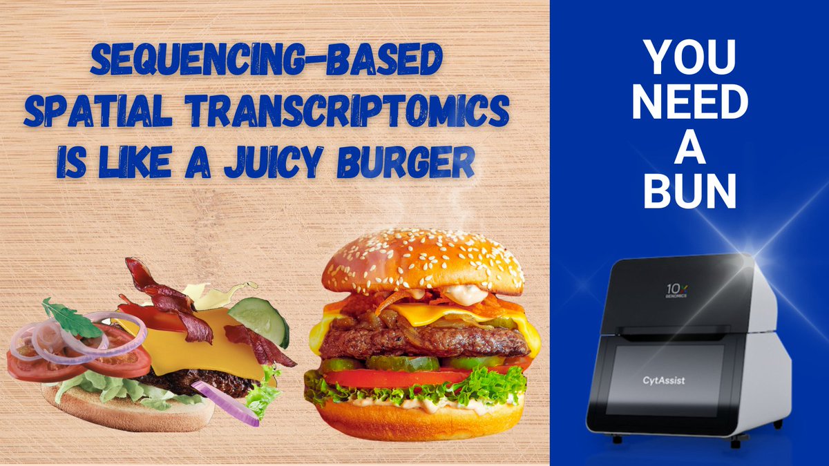 🍔 HUNGRY FOR SCIENCE? 🍔 Just like a bun holds all the burger ingredients together, @10xGenomics #CytAssist is absolutely essential in maintaining the consistent capture of molecules in their #tissue location without diffusion. A true high resolution spatial transcriptomics