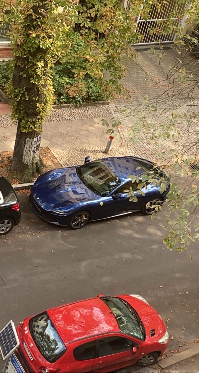 Musste draußen parken weil Stellplatz besetzt war 🫠 ganze Straße sind Kastanien Bäume. Denkt ihr passiert was?