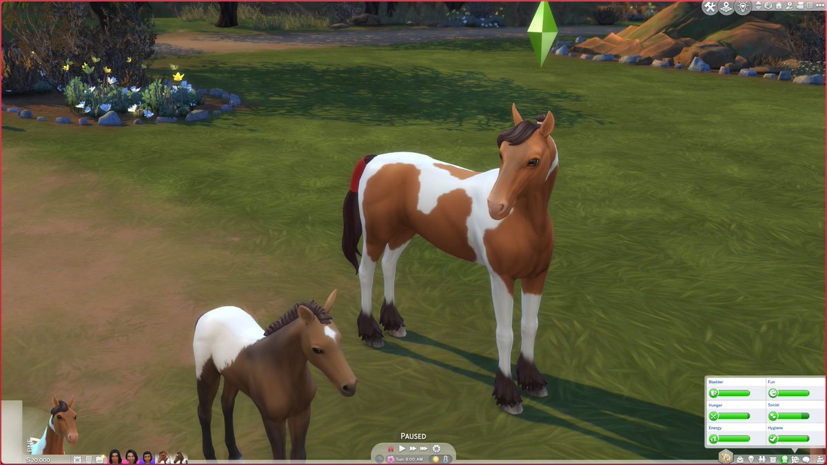 GamingwithPri17's tweet image. Stay Ahead of the Game: Best Sims 4 Mods - Gamingwithprincess buff.ly/3wKgk1p
&apos;&apos;&apos;Stay ahead of the game with these top Sims 4 mods! Enhance your gameplay and unlock new possibilities. #Sims4 #ModdingCommunity&apos;&apos;&apos;