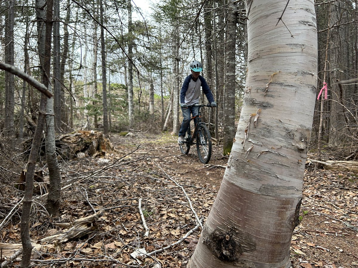 MrChurchillNL's tweet photo. It was another awesome night 4 #cmsrides working on mountain bike skills from the #sprockids skill development program. Our @CMS_Tigers are having so much fun being active and riding with their friends! Thanks @schoolsportsnl for supporting our club! @NLSchoolsCA @SprockidsNL 🚲 https://t.co/OCHQmcue9t
